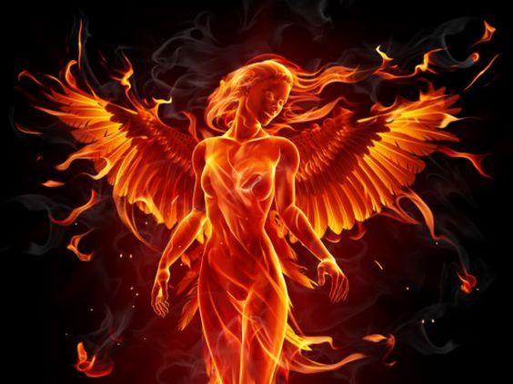 Fenix